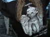 danafetishistova Altpins Profile Picture