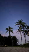 gritsa.k Altpins Profile Picture