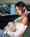 ll.lu1s Altpins Profile Picture
