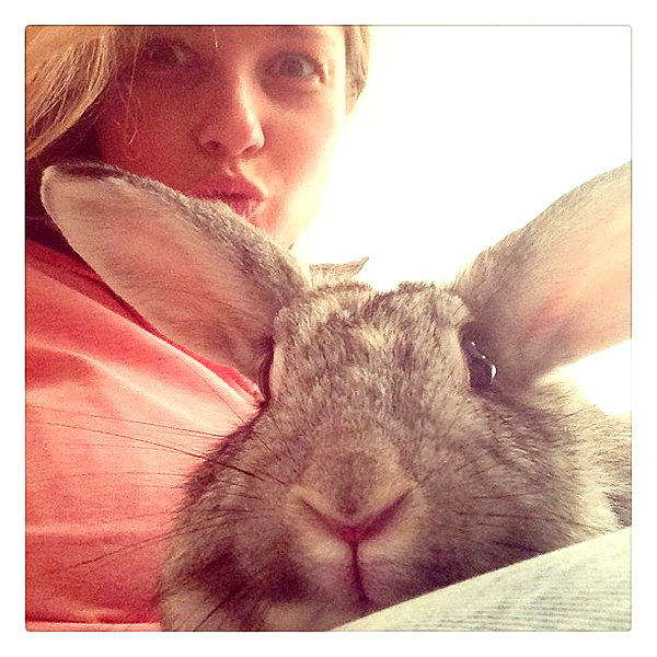 adihimelbloy instagram image archive image