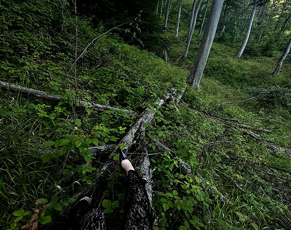 amatveyko instagram image archive image