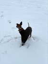 lilih Altpins Profile Picture