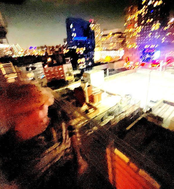 bugz4brainz instagram image archive image