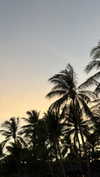 shirakor_ Altpins Profile Picture