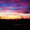 gabbyepstein Altpins Profile Picture