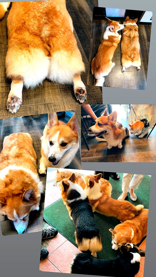 nanasemeron instagram image archive image