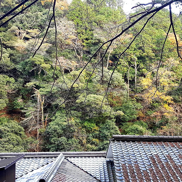 muze instagram image archive image