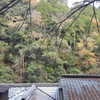 muze Altpins Profile Picture