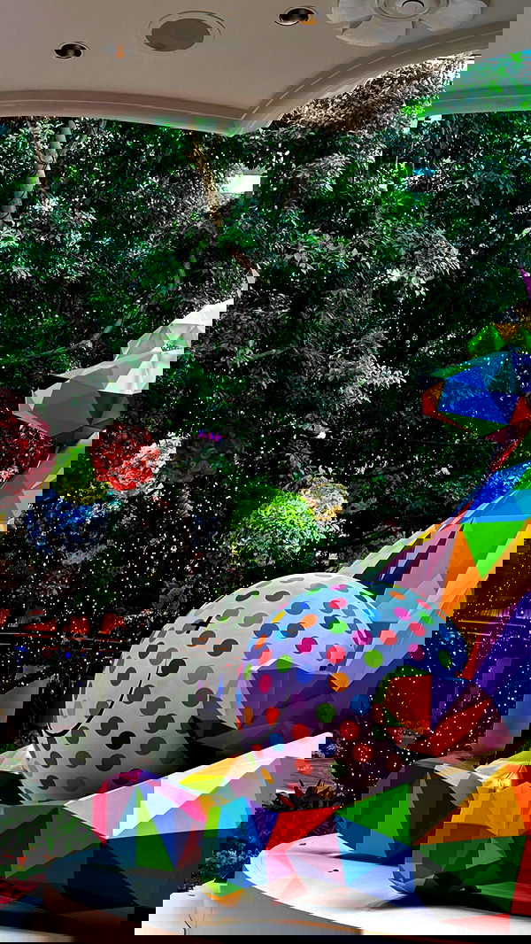 taylor.creeden taylor.creeden archive image