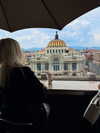 luly1980s Altpins Profile Picture