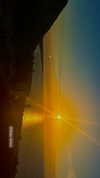 maycohen8 Altpins Profile Picture