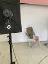 mollygirl1317 Altpins Profile Picture