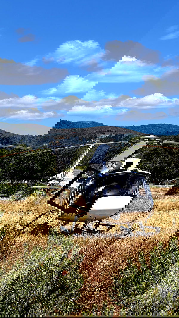 taylor.creeden taylor.creeden archive image