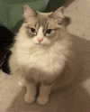 catl0verr69 Altpins Profile Picture