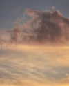 zuhazana Altpins Profile Picture