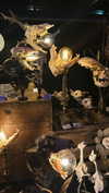 yasminhilde_ Altpins Profile Picture
