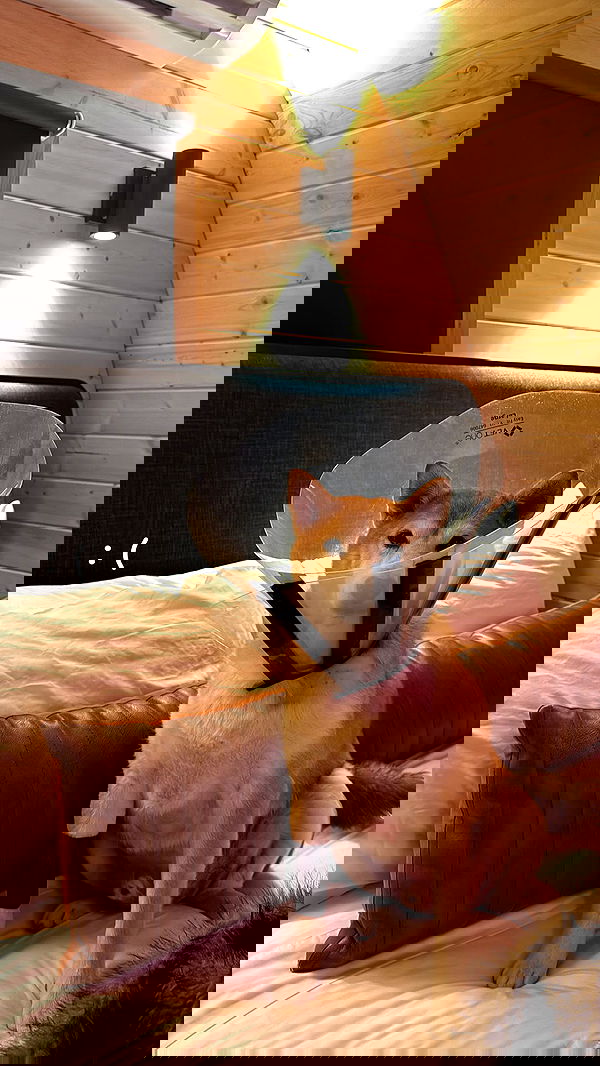 zommmbri zommmbri archive image