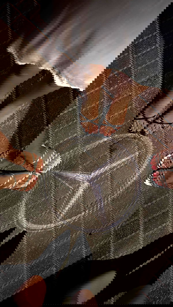 taylor.creeden taylor.creeden archive image