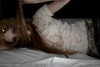 veildose Altpins Profile Picture