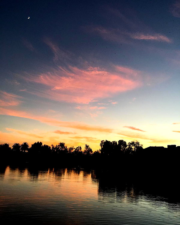 haileylayfield instagram image archive image