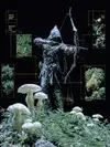 _littlerobin_ Altpins Profile Picture