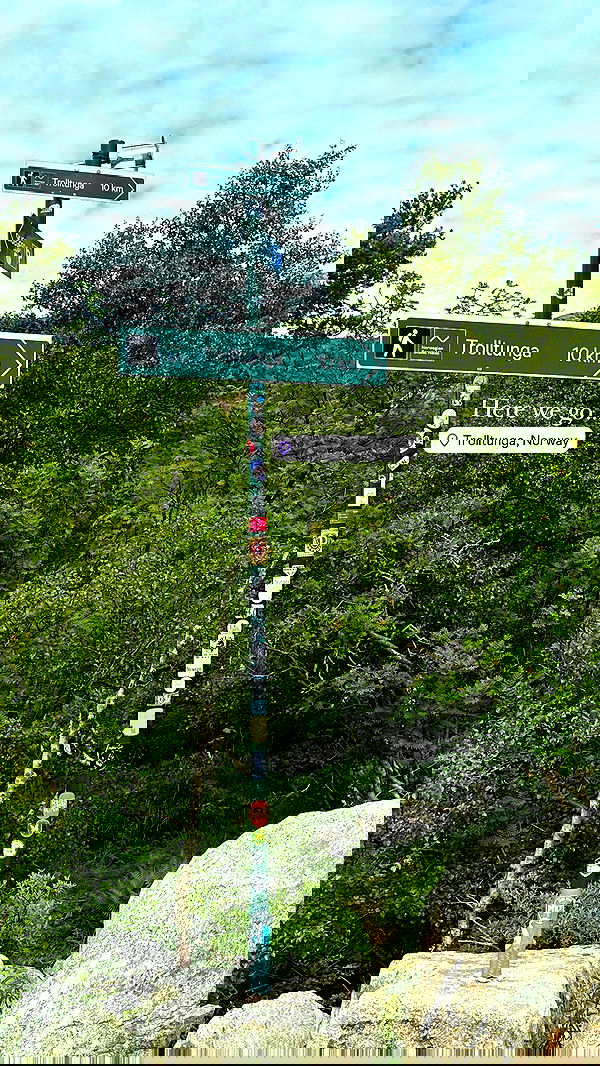 taylor.creeden taylor.creeden archive image