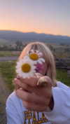 lila.clarkson Altpins Profile Picture