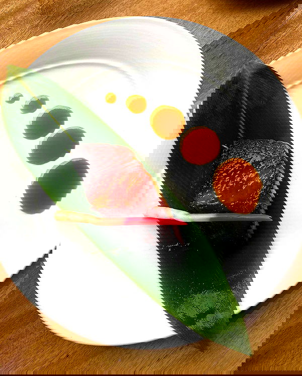 taylor.creeden taylor.creeden archive image