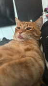 butter.on.a.poptart69 Altpins Profile Picture
