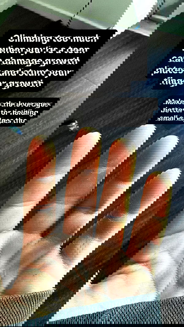 swholeanimal swholeanimal archive image