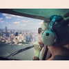 realbarbarapalvin Altpins Profile Picture