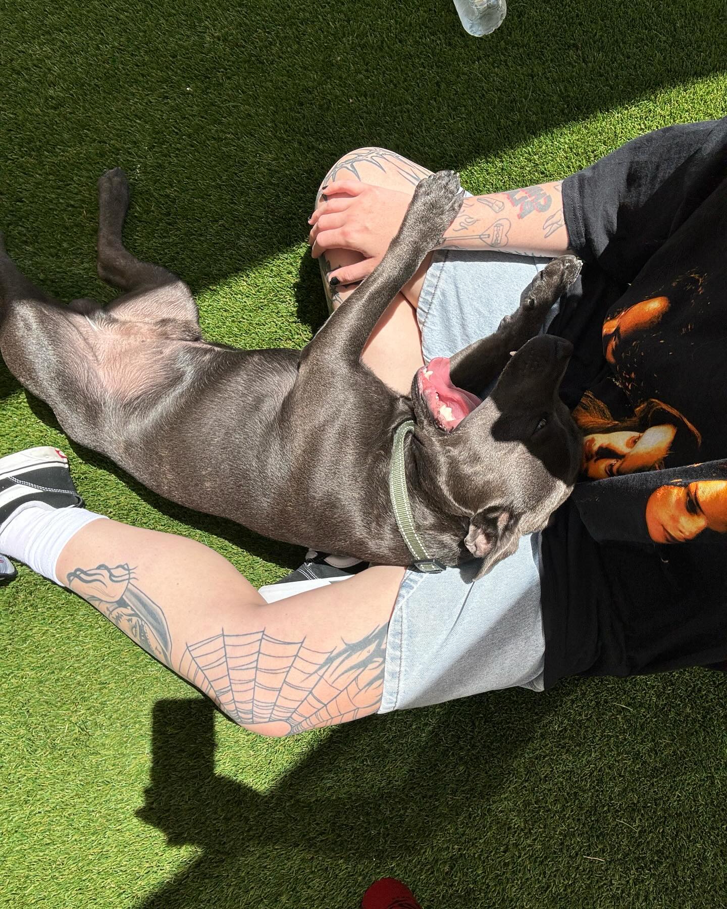 jtilb2 instagram image archive image