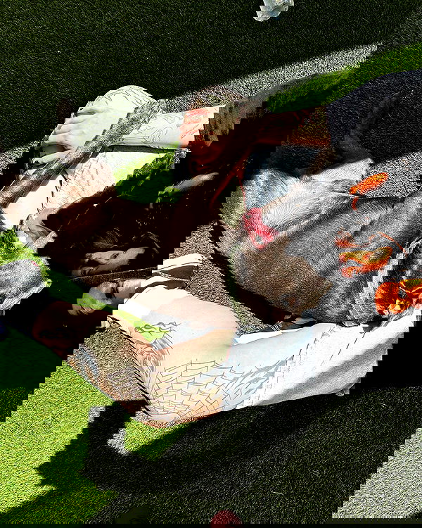 jtilb2 image ~ Altpins