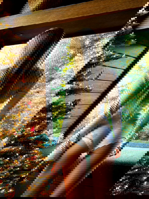 carolinezalog carolinezalog archive image