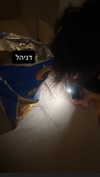 dante_yangpa Altpins Profile Picture