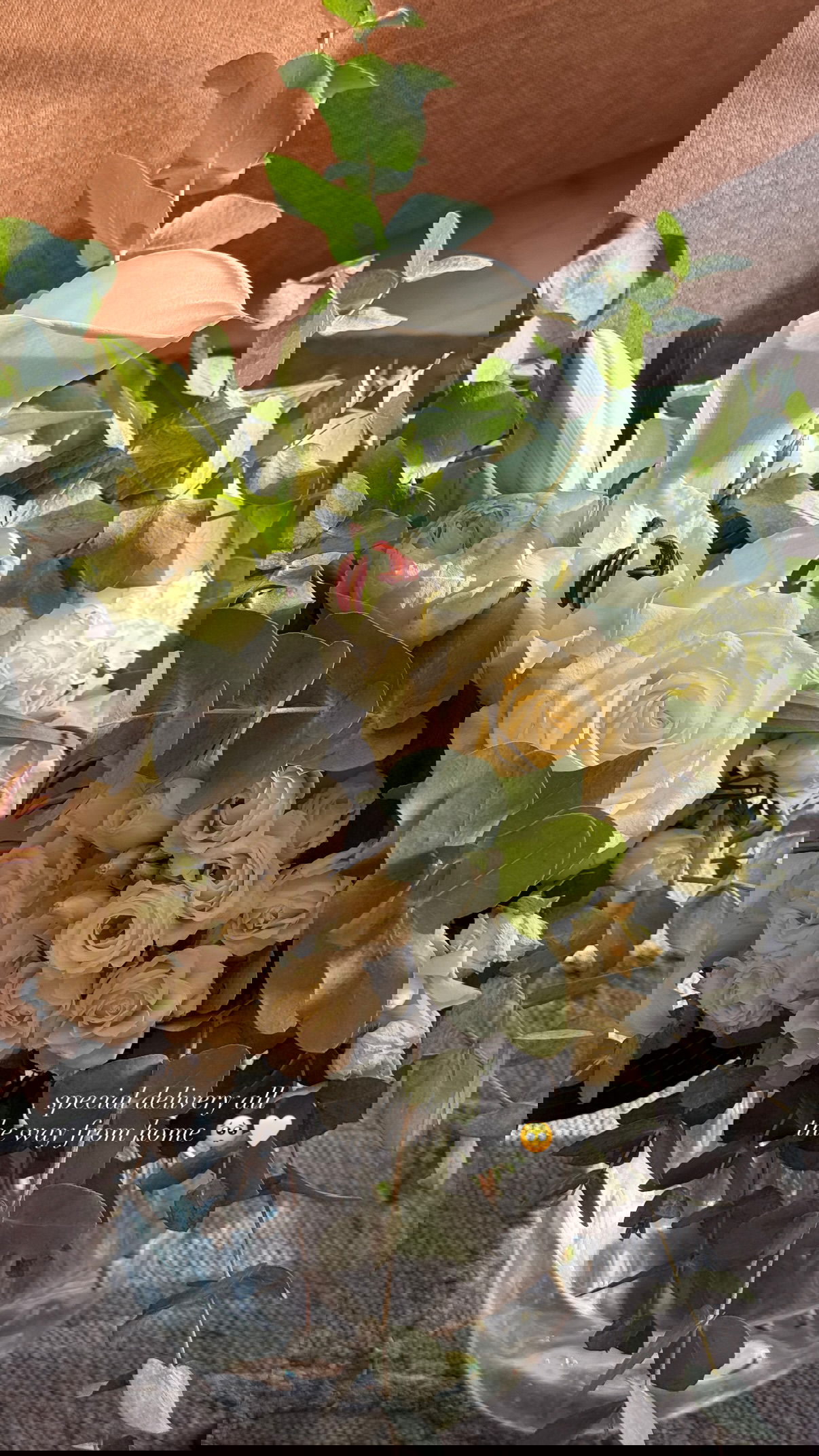 victoriaturnerr instagram image archive image