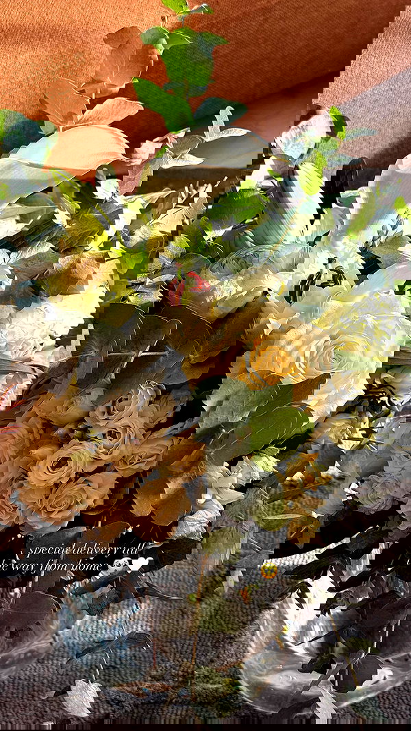 victoriaturnerr image ~ Altpins