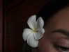zoeliss Altpins Profile Picture