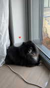 katrina.zaiceva Altpins Profile Picture