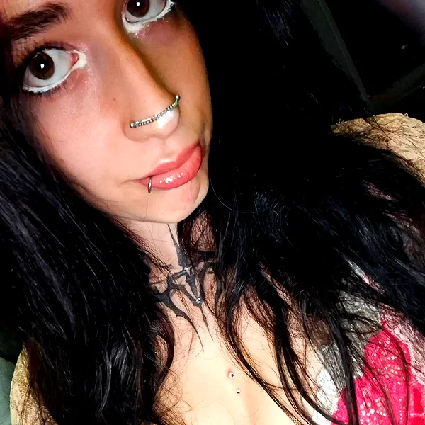 shayli_or shayli_or archive image