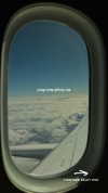 annazak12 Altpins Profile Picture