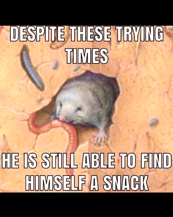 leanbeefpatty instagram image archive image