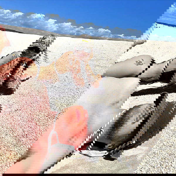 jtilb2 image ~ Altpins