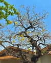 ll.lu1s Altpins Profile Picture