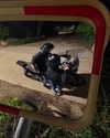 yahav_marciano Altpins Profile Picture