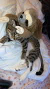 olivia.bolgerr Altpins Profile Picture