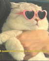 ellaexplicit_ Altpins Profile Picture