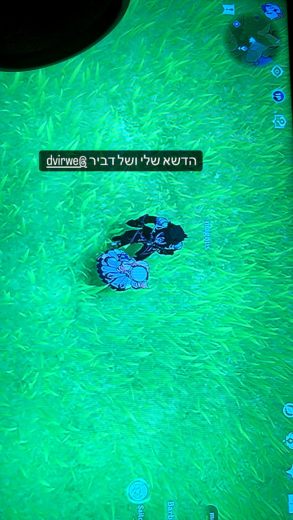 liliashaked instagram image archive image