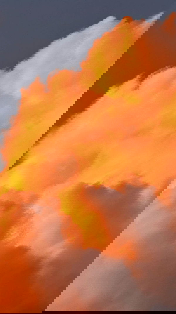 romy_ayalla_lavi romy_ayalla_lavi archive image