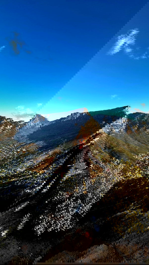 taylor.creeden taylor.creeden archive image